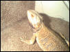 Griffin's last picture