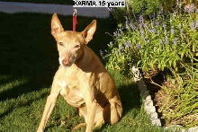 Karma 15 years