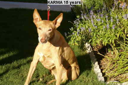 Karma 15 years