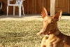 Asher Nov 05