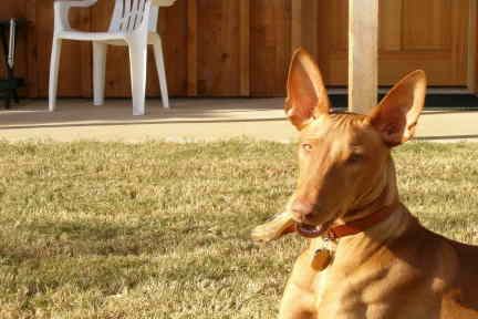 Asher Nov 05