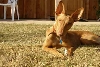 Asher Nov 05