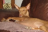 Bari's Third Birthday