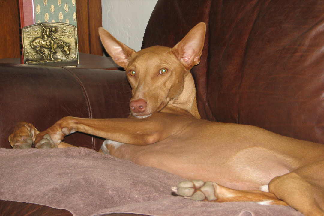 Bari's Third Birthday