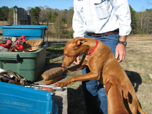 Ginger & Asher