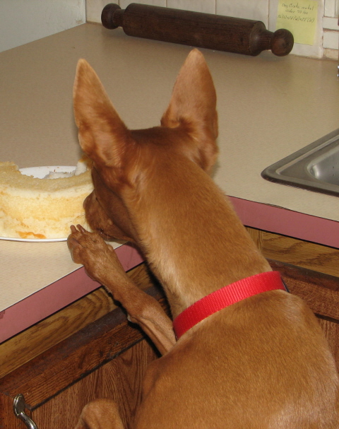 Ginger cake 4th b-day