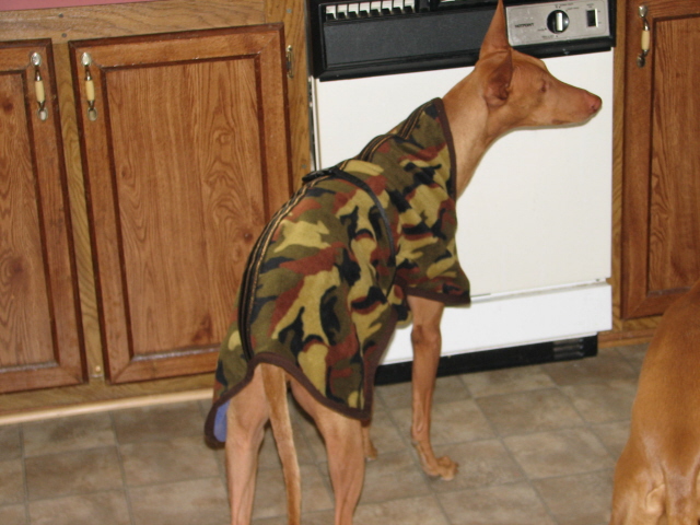 Ashers new coat-rear