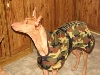 Ashers new coat-side