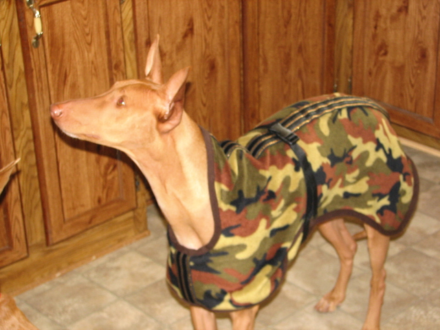 Ashers new coat-side