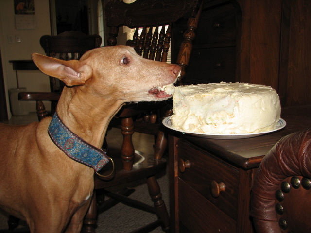 Tifla 14-cake