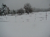 snow