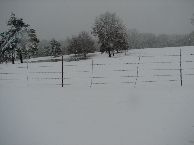 snow