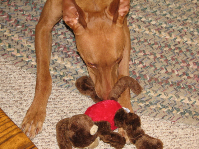 Asher 3rd-toy