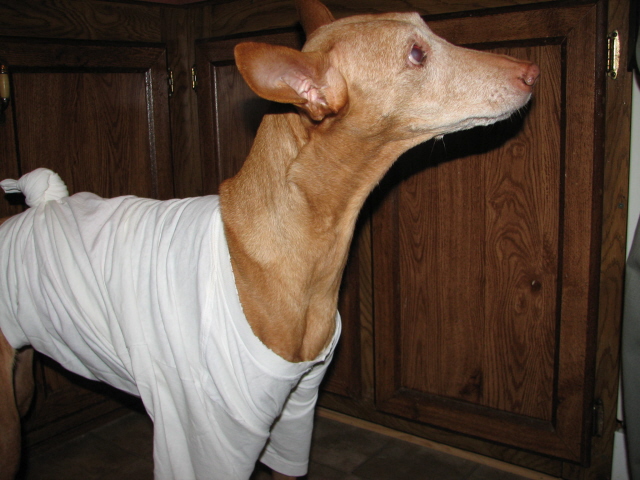 Tifla's outfit after surgery
