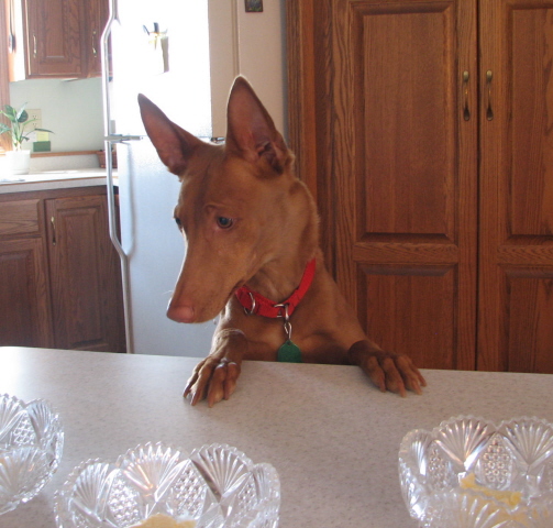 Ginger 6th B-day ICE Cream