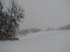Snow Field