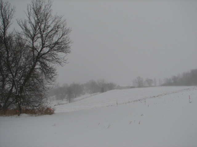 Snow Field