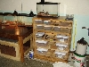 Basement herps
