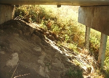 Habitat