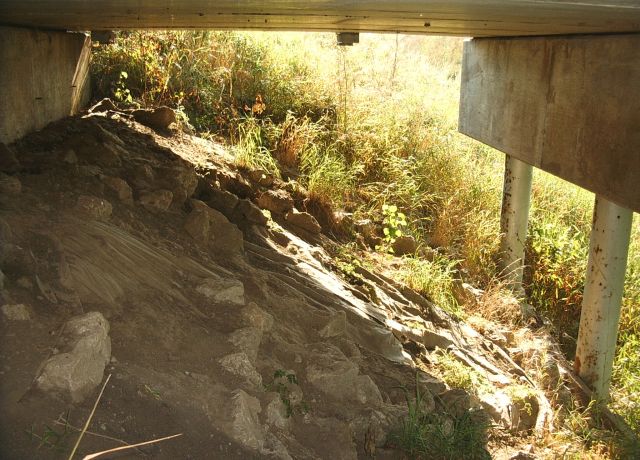 Habitat