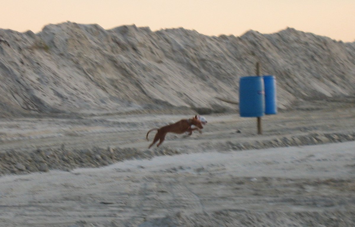 Tip at the beach 1