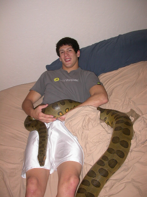 Anaconda