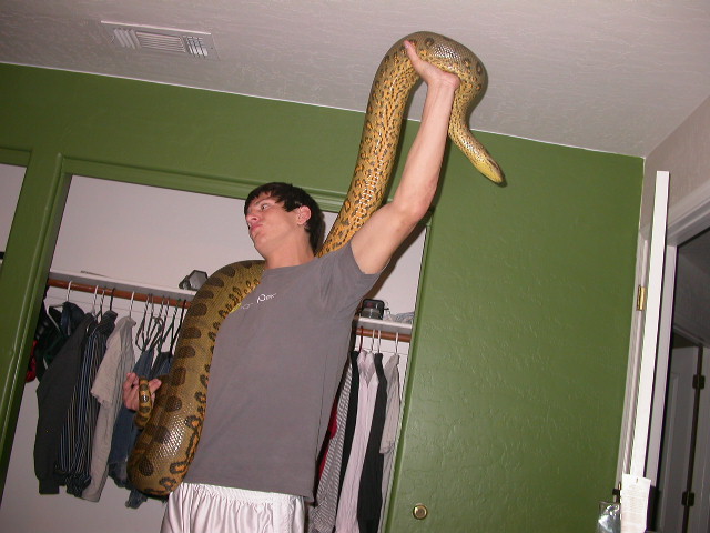 Anaconda