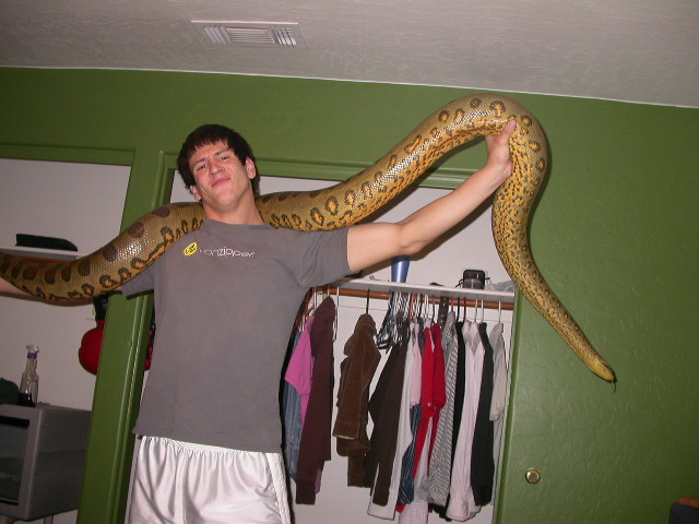 Anaconda