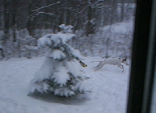 I am gunna catch ya!