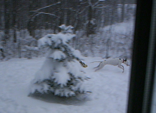 I am gunna catch ya!