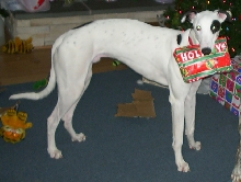 Is this for me?