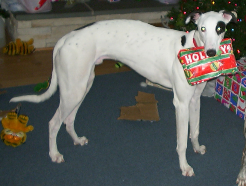 Is this for me?
