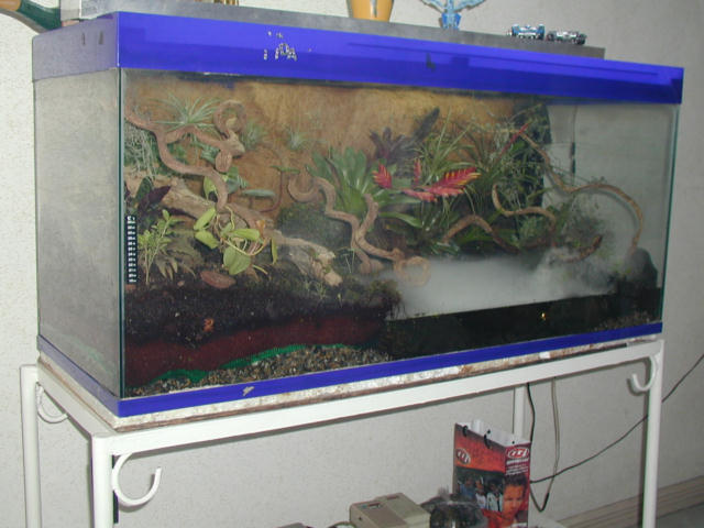 75 gallon tank
