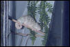 Female 01/19/02