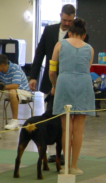 Best in Show Penny