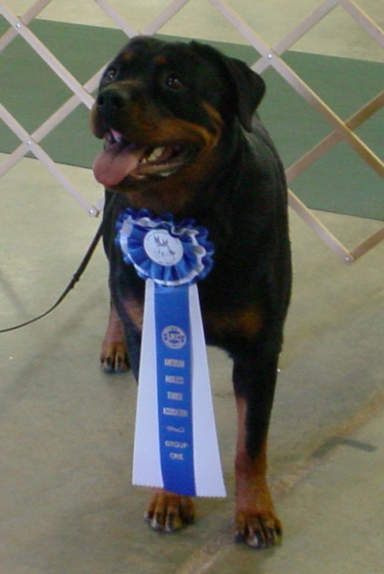 Best in Show Penny