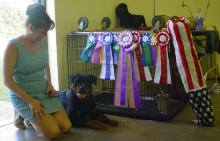 Best in Show Ribbons