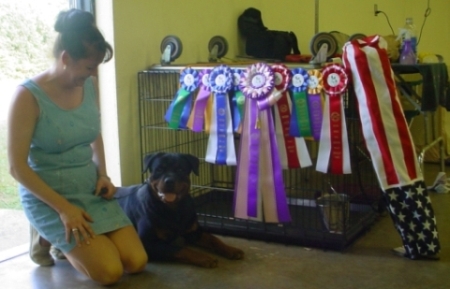 Best in Show Ribbons