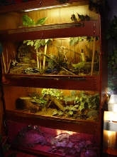 Some of my custom cages