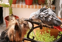 true love