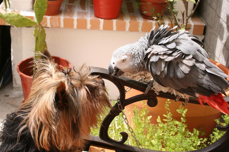 true love