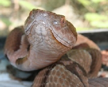 close up