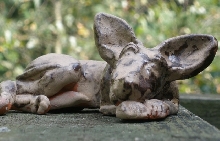 Mud (Pharaoh) Dog