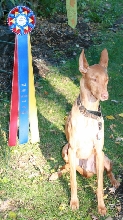 LGRA  NATIONALS  2009 *BLAISE*