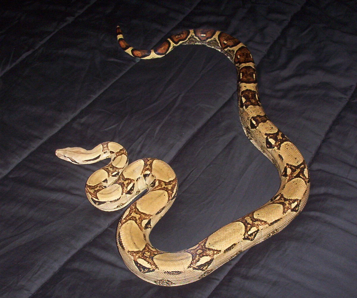 another pic of him