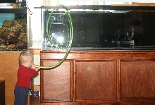 co2 into the tank