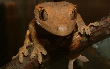 lookin at ya