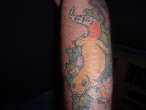 leo tattoos