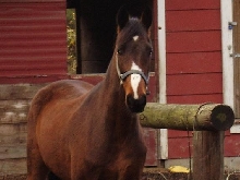 Roger