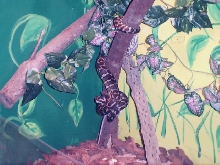 Shaggy, Eating